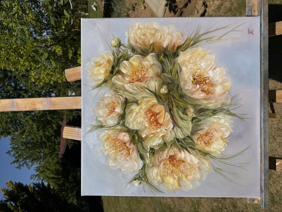 Magic peonies series - Tenderness in Bloom