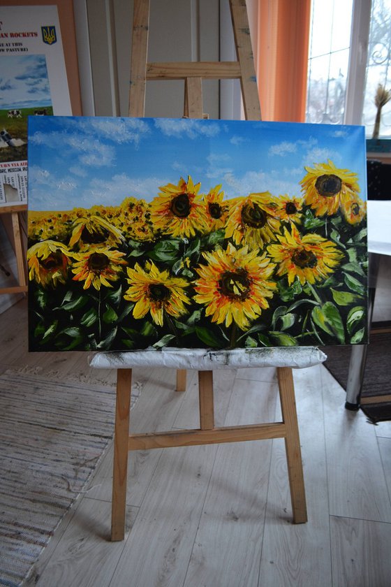 Sunflowers under the Ukrainian Sky