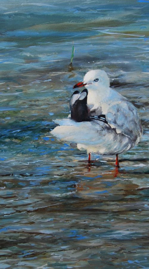 not too close by Trevor Salisbury