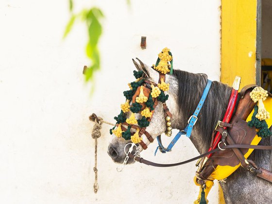 DECORATED HORSE