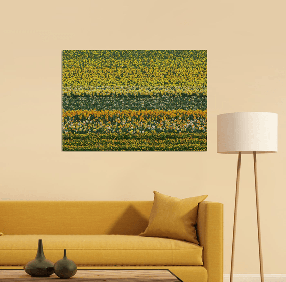 Daffodil Abstract