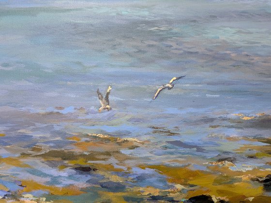 Breeze over the bay