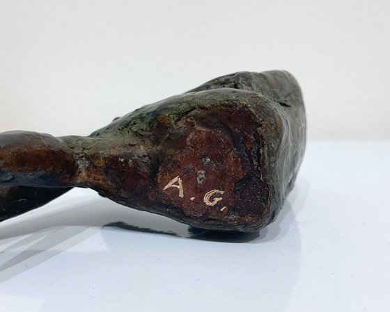 The Reader’s Reverie