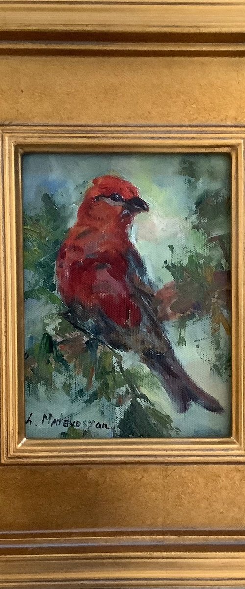 Pine Grosbeak by Lia Matevosyan Haselton