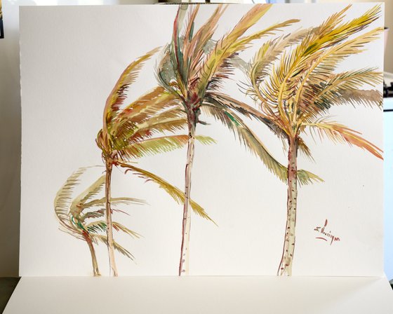 Tropical Beach. coconut Palm Trees