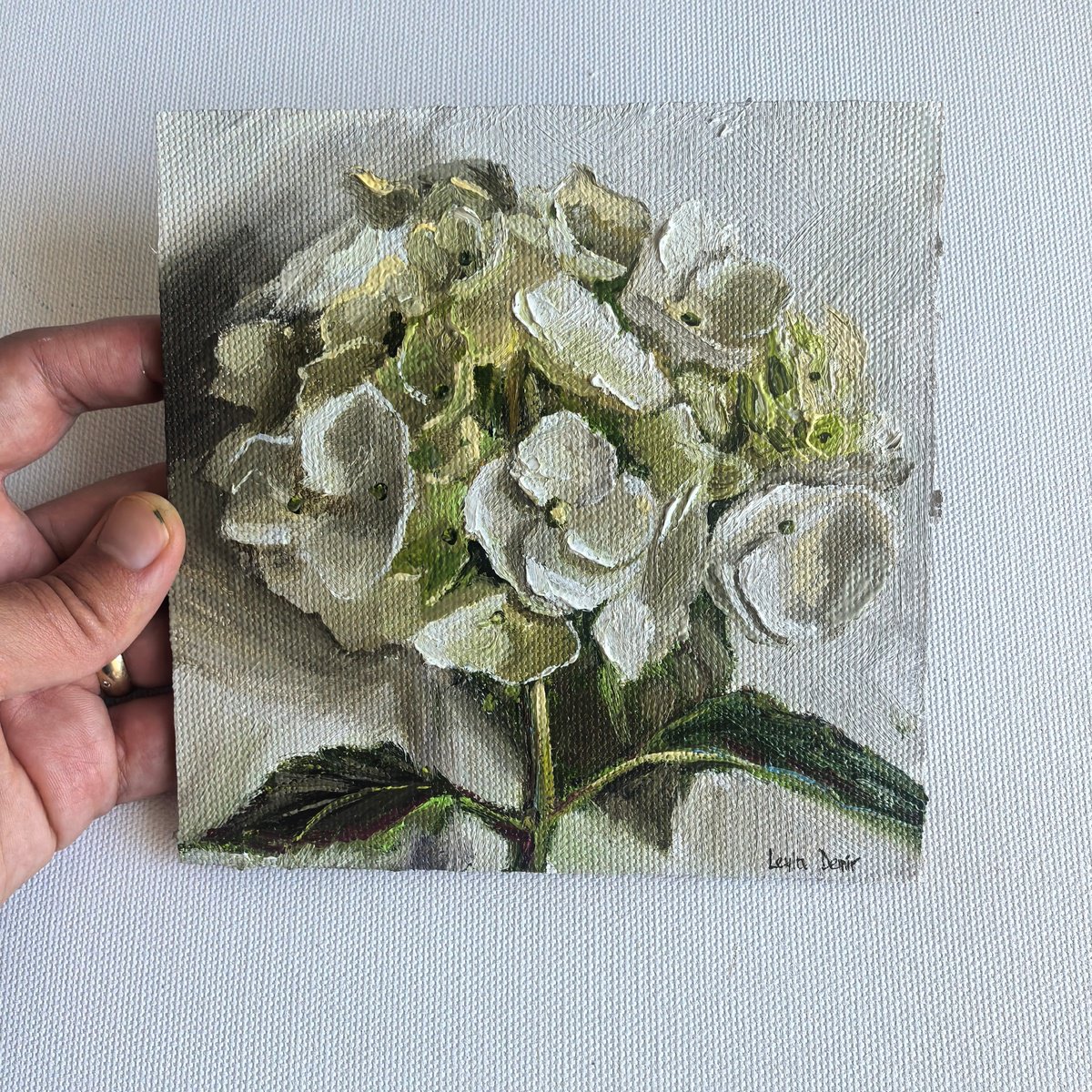 White Hydrangea By Leyla Demir, 6 X 6, Artwork For Sale On Artfinder