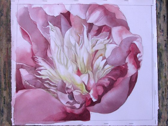 memory of spring watercolor floral