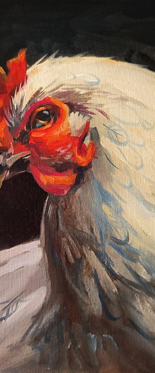 Chicken by TETIANA PANTIUKH