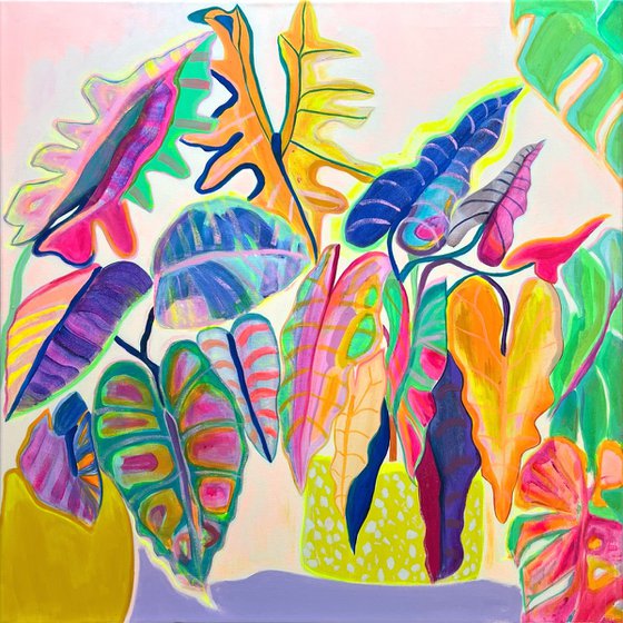'Alocasia Revelation’