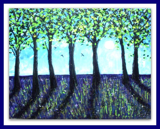 Micheldever Morning VI