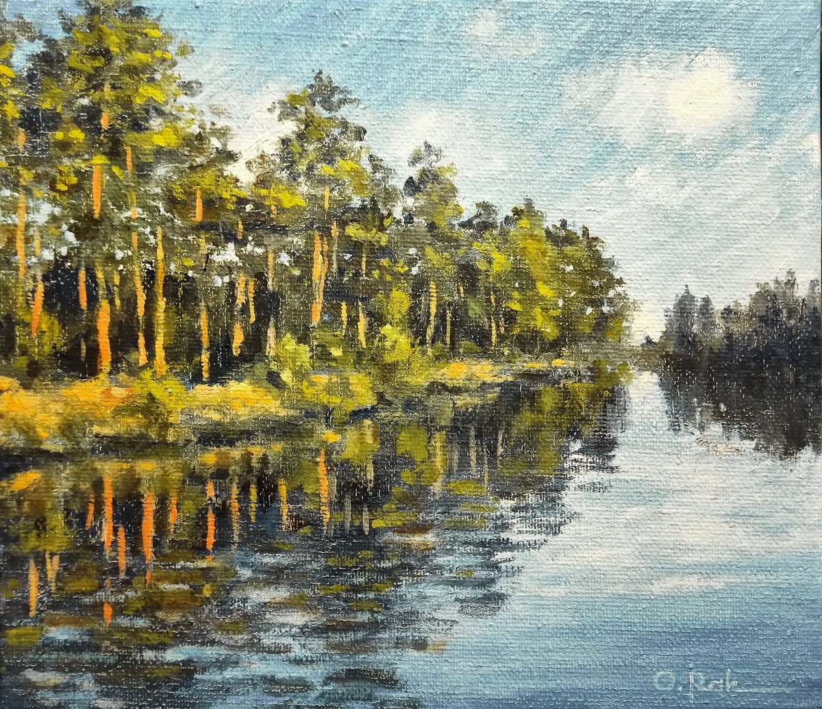Pine trees by the river by Oleh Rak