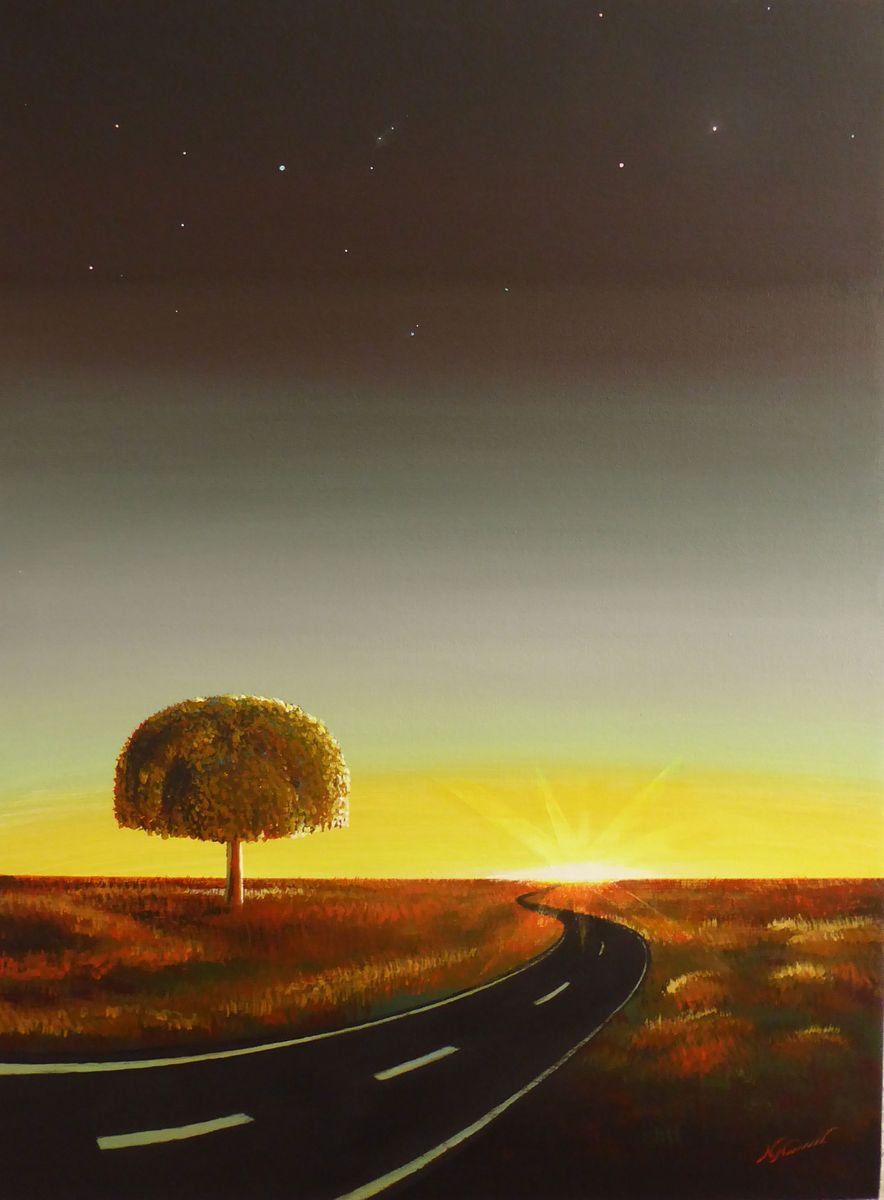 Sunlit Path by Narek Hambardzumyan