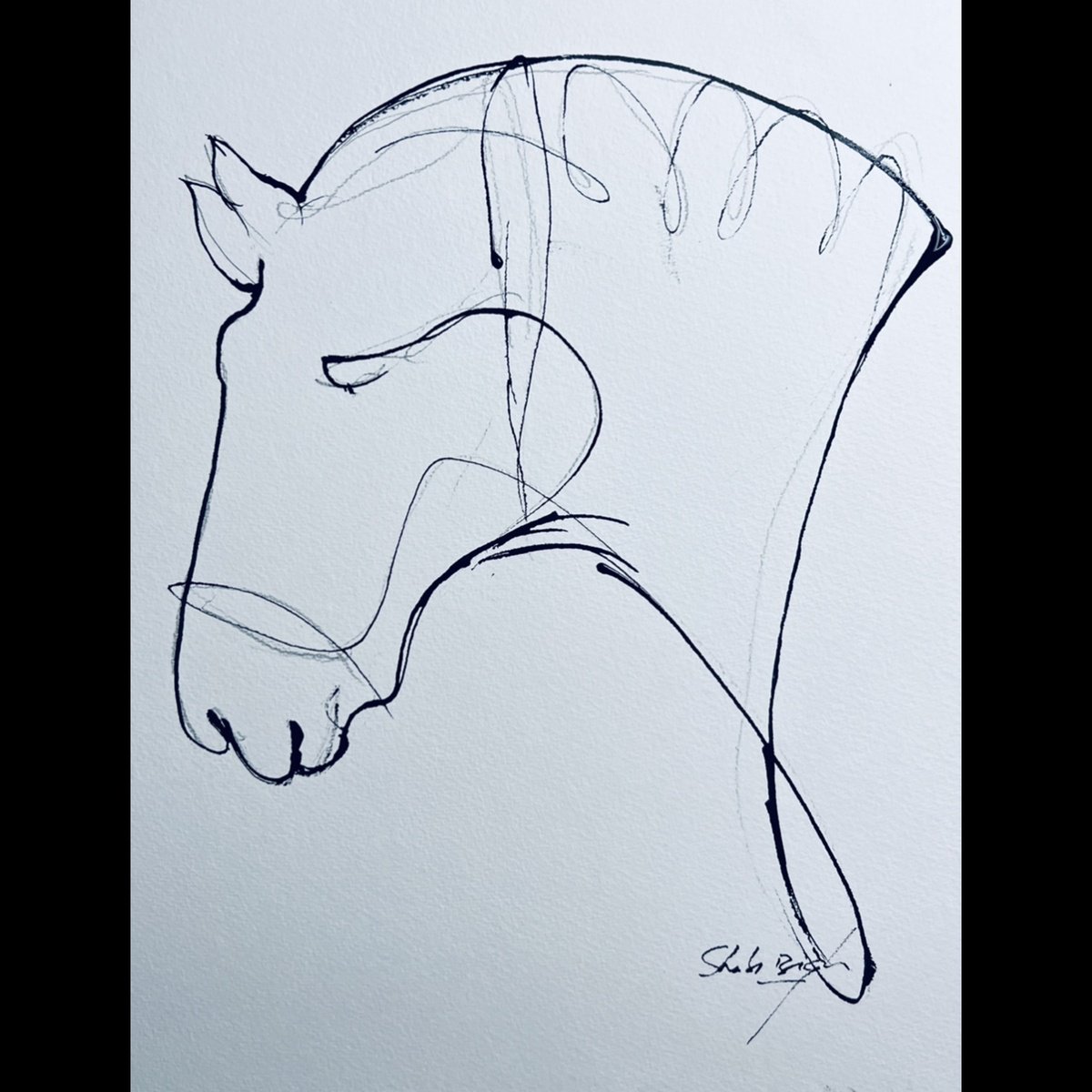 Illustrative Animal Ink Drawing By Shabs Beigh, 14 X 14", Minimal Horse Head In Ink 2, Original Artwork