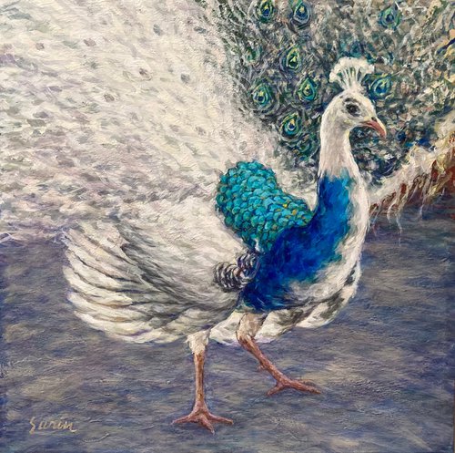 White Peacock, Blue White Peacock, Peacock Painting, Peacock Portrait, Beautiful Bird Painting, Exotic Bird Painting, White Blue Peacock by Surin Jung