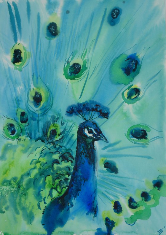 Peacock