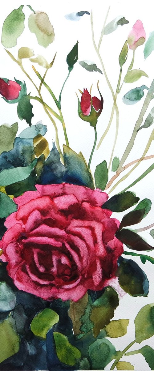A Single Rose in Watercolor Floral Painting by Ion Sheremet