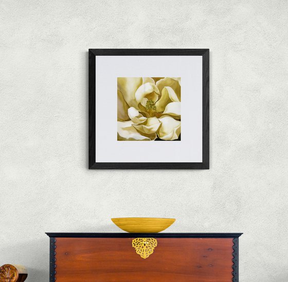 magnolia in yellow