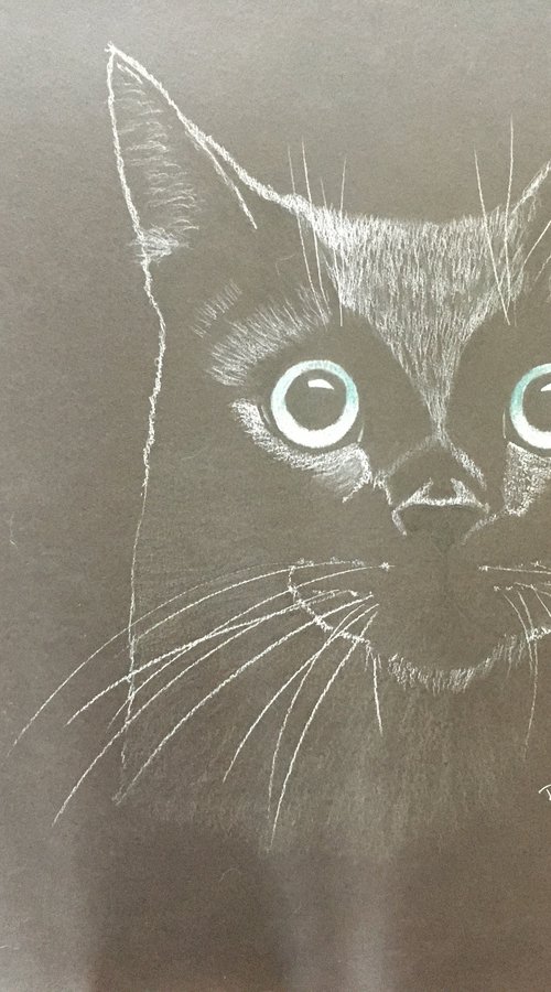 Black Cat by Ruth Searle