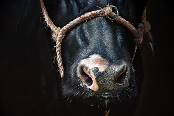 Black, beauty and strong