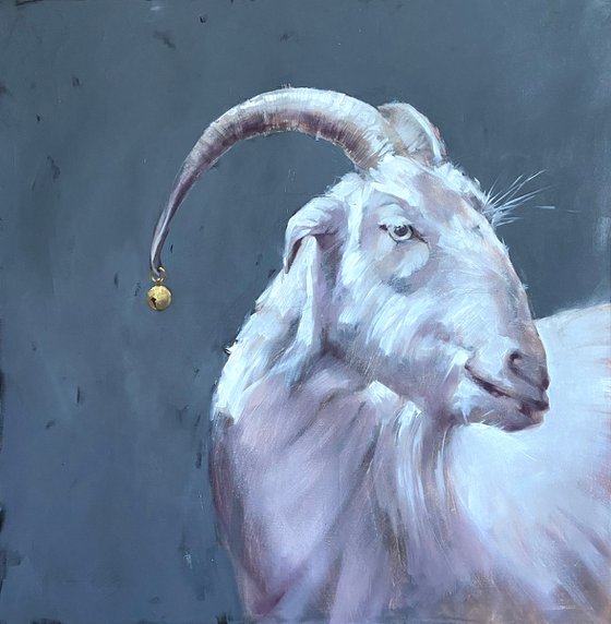 Portrait of a goat with a jingle bell.