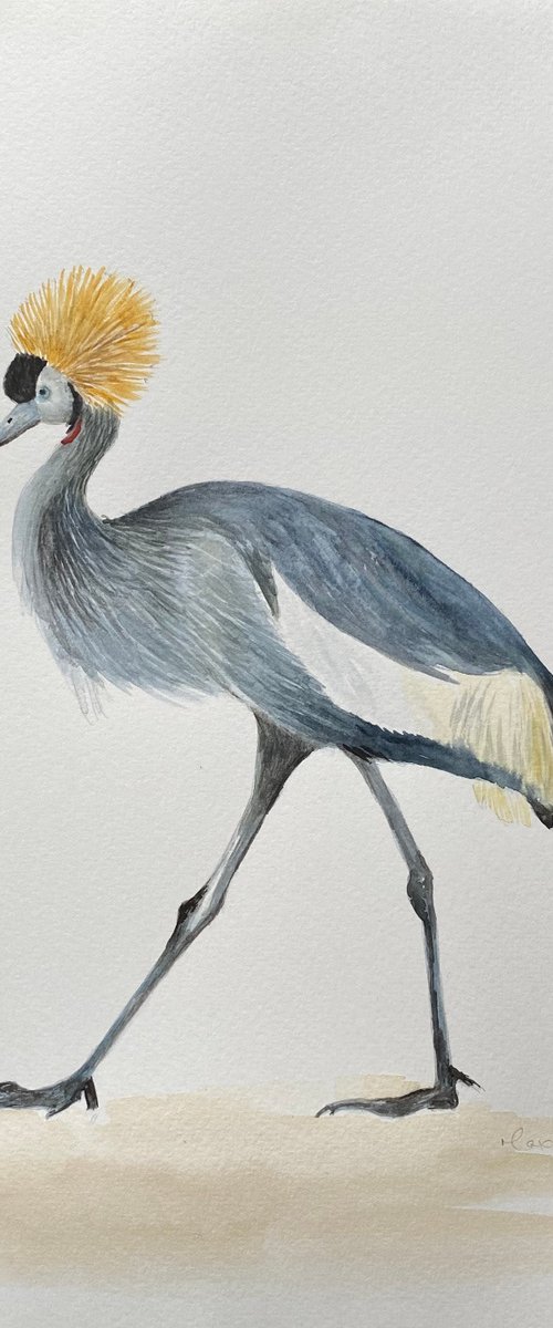 Crane by Maxine Taylor