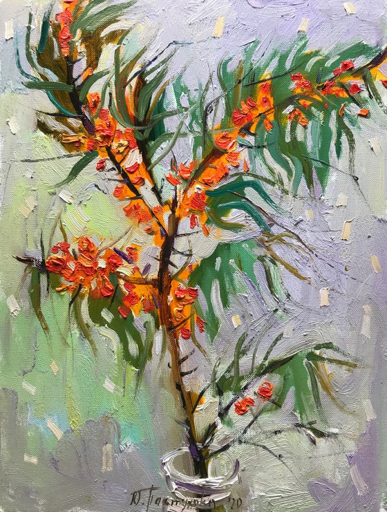 Branch of sea buckthorn