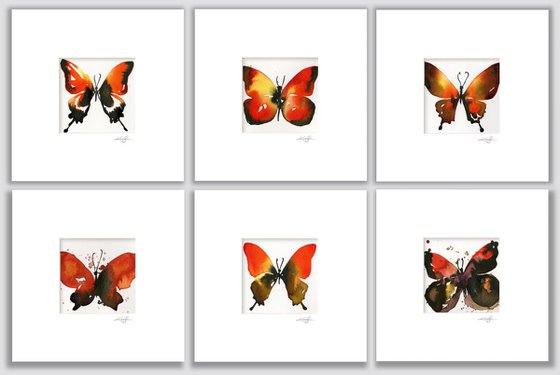 Butterfly Song Collection 1