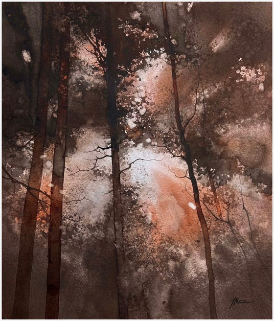 Forest Light