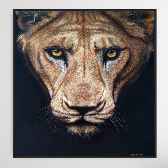 'Huntress' lioness pastel painting