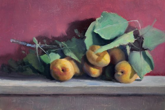 Apricots