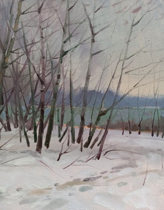 Winter landscape