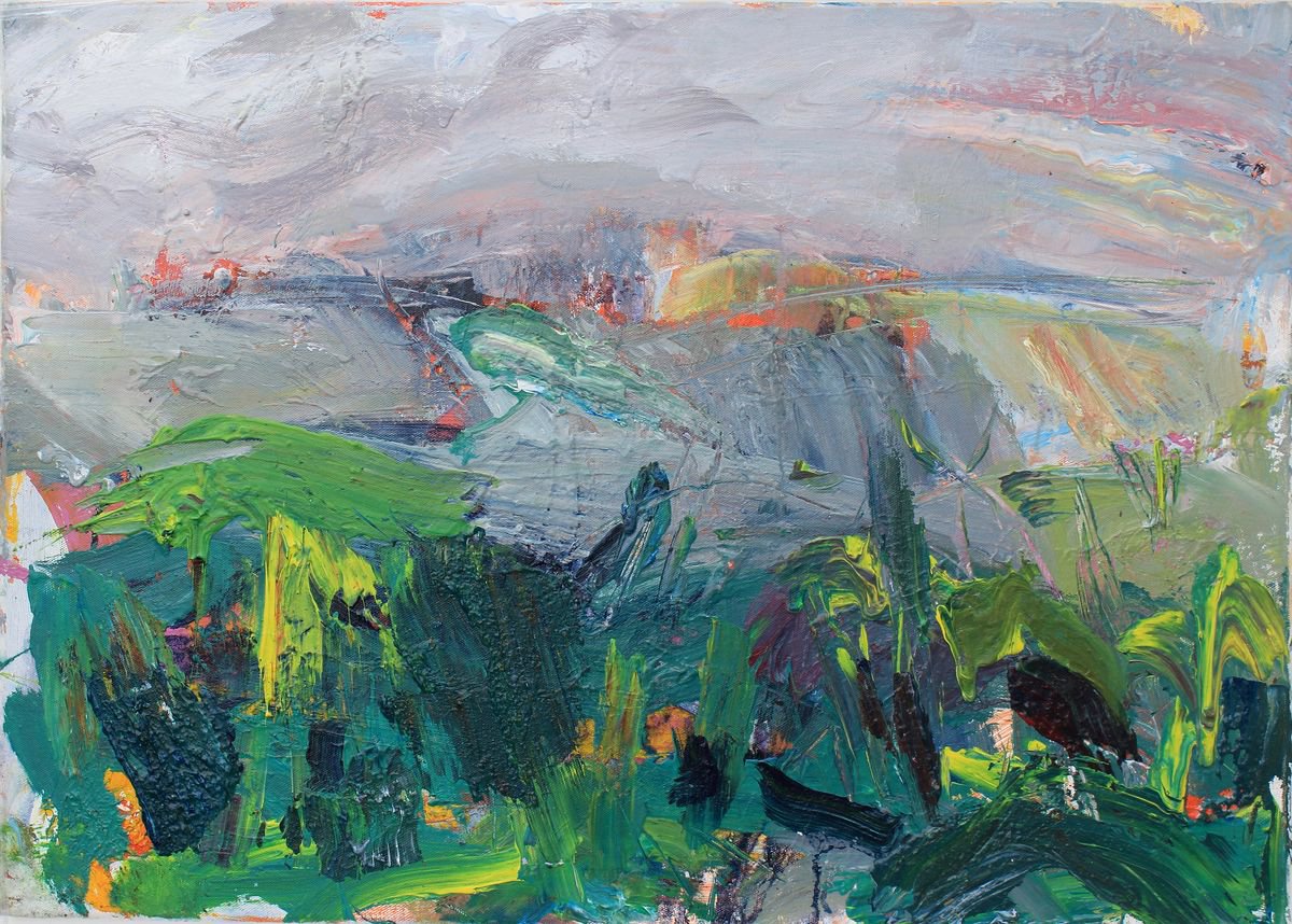 Penwith moor, hedge, rain, wind by Ges Wilson