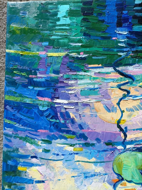 Water lilies reflections 5