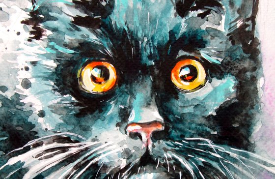 Black cat