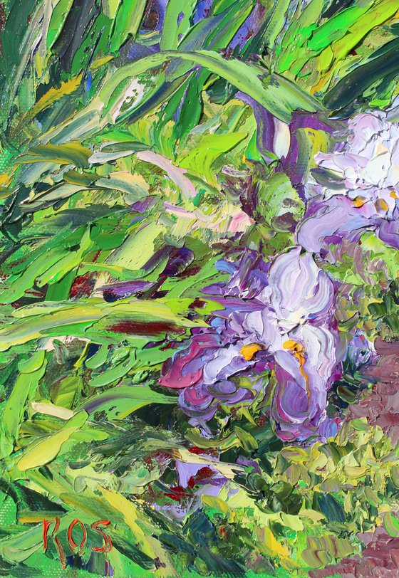 Monet's Home And Iris Garden