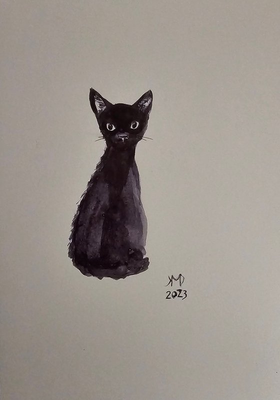 Black Black cat