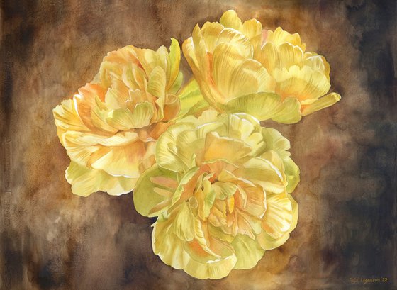 Yellow tulips flower watercolor