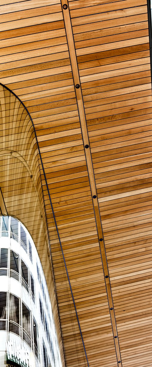 ROOF PROOF Apple Store Chicago by William Dey