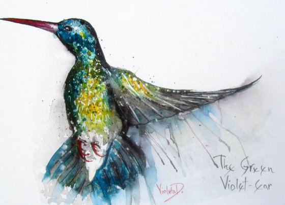 The Hummingbird (The Green Violet-Ear)