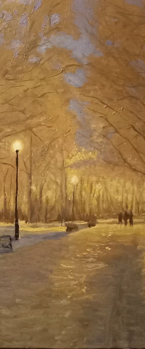 The Glow on a Winter Walk by Steffan Johnson