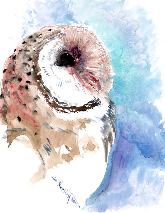 Barn Owl