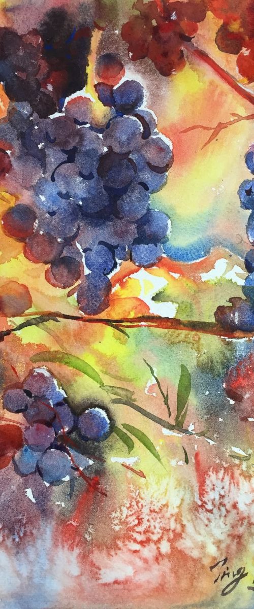 Grapes 2 by Jing Chen