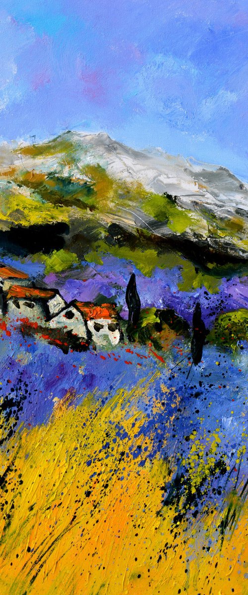 Lavender in  in Provence France - 6723 by Pol Henry Ledent