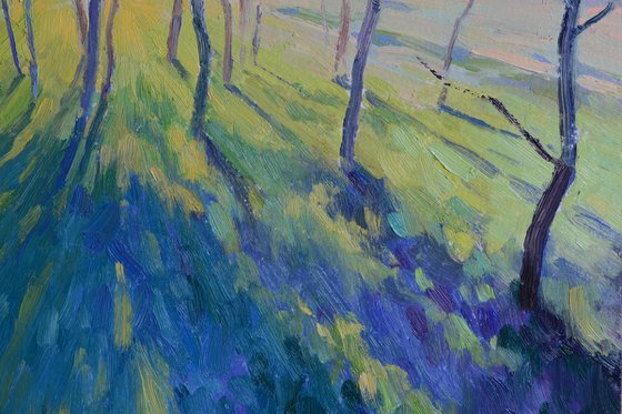 Morning in the meadow
