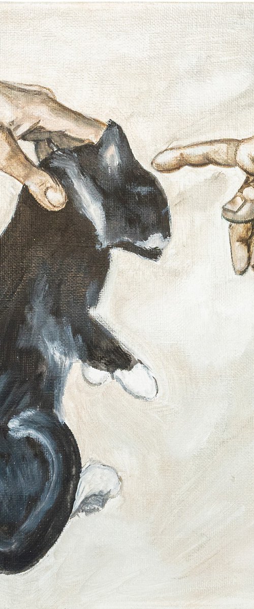 The Creation Of Purr by VICTO