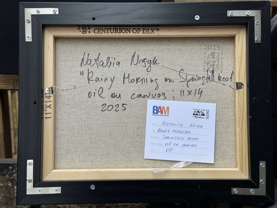 Rainy Morning on Springhill Road