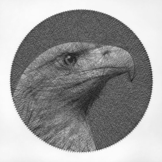 Eagle Sring Art