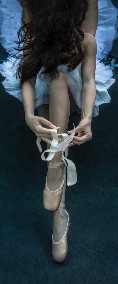 Pointe - underwater photograph by Alex Sher