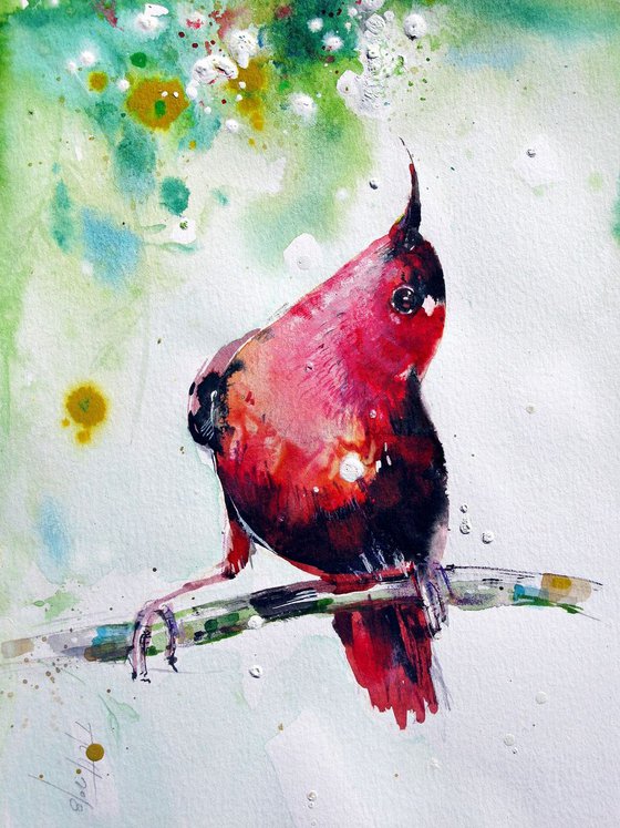 red hummingbird