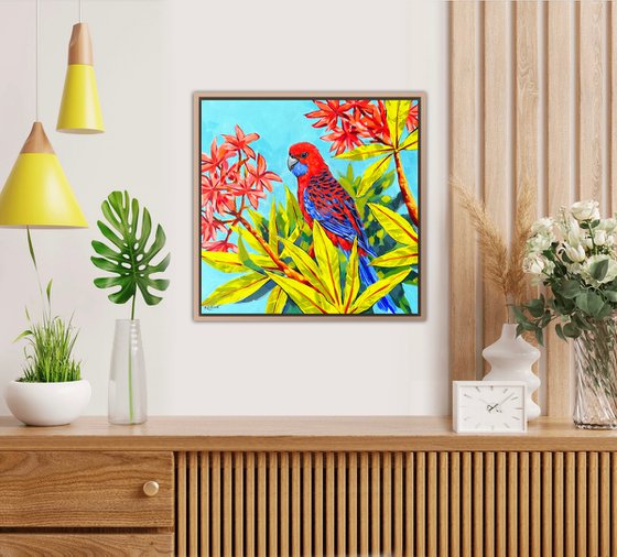 Crimson Rosella